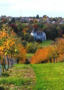 het kasteel is omgeven door fruitbomen, in de herfst