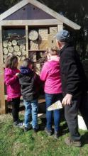 Insect hotel in the castle park