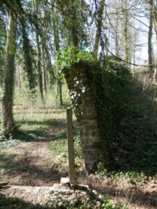 Le bois où jouer et se promener