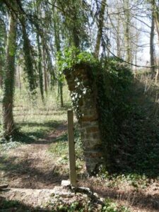 Het bos waar je kunt spelen en wandelen