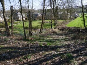 The wood where you can play and walk