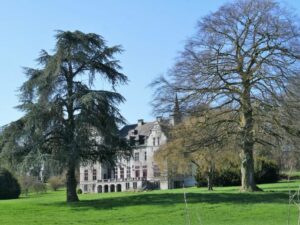 het kasteel gezien vanaf de achterkant van het park