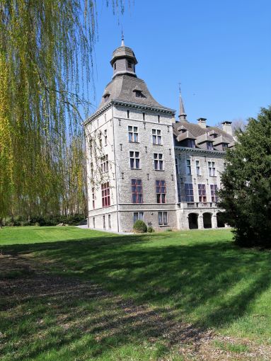 the main tower of the castle seen from the park